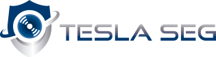 https://www.teslaseg.com.br: